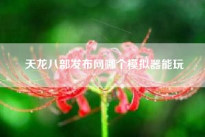 天龙八部发布网哪个模拟器能玩