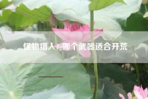 怪物猎人4g哪个武器适合开荒