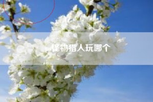 ps怪物猎人玩哪个