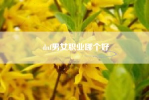 dnf男女职业哪个好