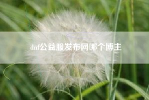 dnf公益服发布网哪个博主