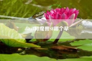 dota1和魔兽SF哪个早