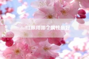 dnf红眼用哪个属性最好