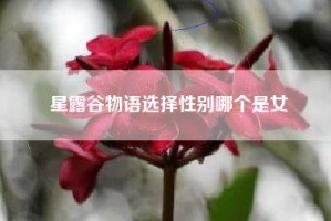 星露谷物语选择性别哪个是女