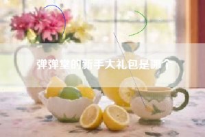 弹弹堂的新手大礼包是哪个