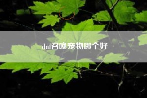 dnf召唤宠物哪个好
