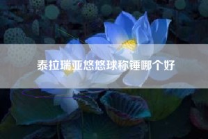 泰拉瑞亚悠悠球称锤哪个好