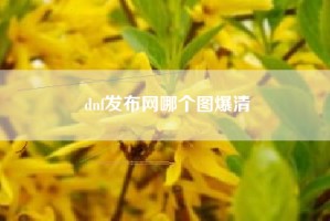 dnf发布网哪个图爆清