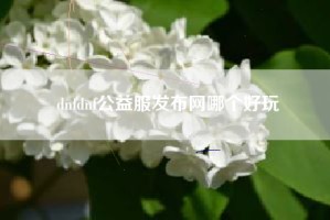 dnfdnf公益服发布网哪个好玩