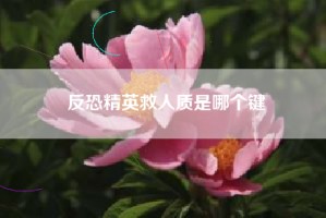 反恐精英救人质是哪个键