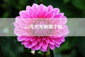 dnf龙龙龙刷哪个图