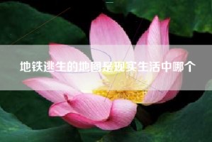 地铁逃生的地图是现实生活中哪个