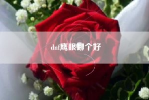 dnf鹰眼哪个好