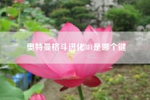 奥特曼格斗进化3l1是哪个键