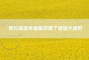 泰拉瑞亚电脑版按哪个键缩小视野