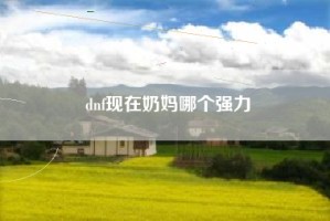 dnf现在奶妈哪个强力