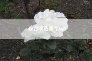 dnf召唤选哪个buff