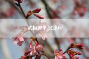 武极哪个职业dnf