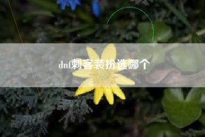 dnf刺客装扮选哪个