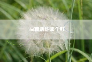 dnf辅助练哪个好