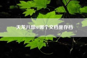 天龙八部SF哪个文档是存档