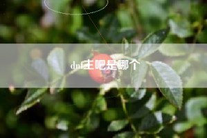 dnf主吧是哪个