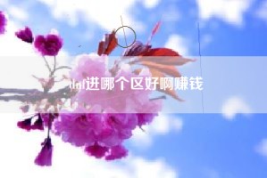 dnf进哪个区好啊赚钱