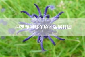 dnf发布网哪个角色容易打团