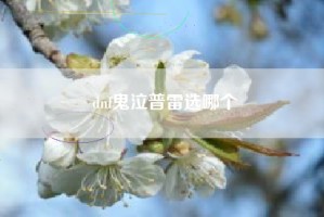 dnf鬼泣普雷选哪个