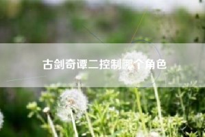 古剑奇谭二控制哪个角色