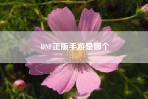 DNF正版手游是哪个