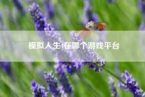 模拟人生4在哪个游戏平台