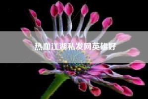 热血江湖私发网英雄好