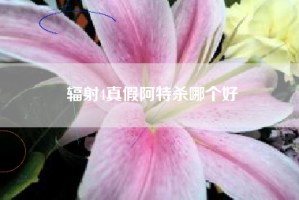辐射4真假阿特杀哪个好
