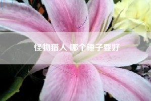 怪物猎人 哪个锤子要好