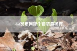 dnf发布网哪个套装最稀有