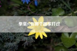 拳皇97在哪个国家打过