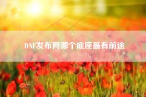 DNF发布网哪个底座最有前途