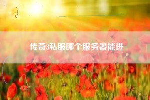 传奇3私服哪个服务器能进