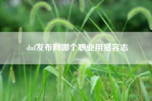 dnf发布网哪个职业用宽容志