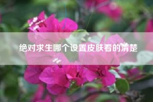 绝对求生哪个设置皮肤看的清楚