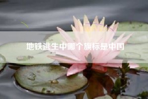 地铁逃生中哪个旗标是中国