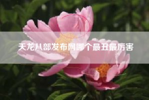 天龙八部发布网哪个最丑最厉害