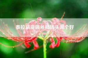 泰拉瑞亚镐斧和砖头哪个好