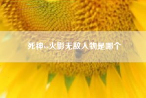 死神vs火影无敌人物是哪个
