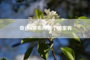奇迹sf发布网哪个国家有