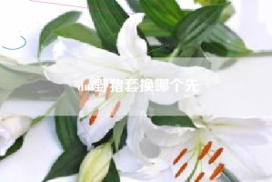 dnf野猪套换哪个先