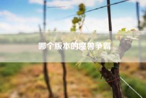 哪个版本的魔兽争霸