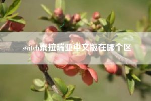 switch泰拉瑞亚中文版在哪个区