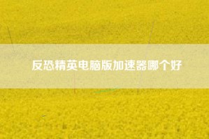 反恐精英电脑版加速器哪个好